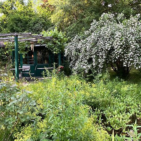 Design Ferienwohnung Mit Bauerngarten Waldkirchen Zewnętrze zdjęcie