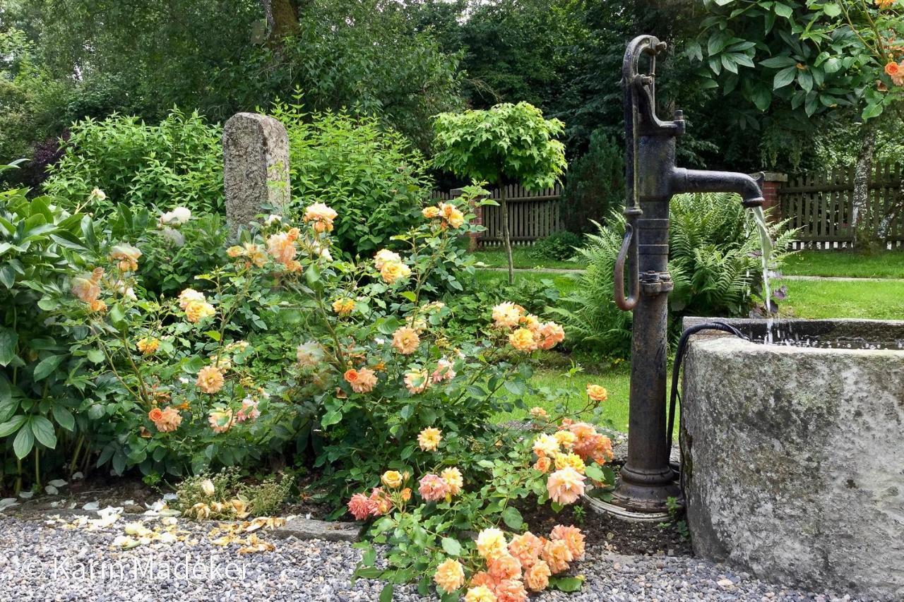 Design Ferienwohnung Mit Bauerngarten Waldkirchen Zewnętrze zdjęcie