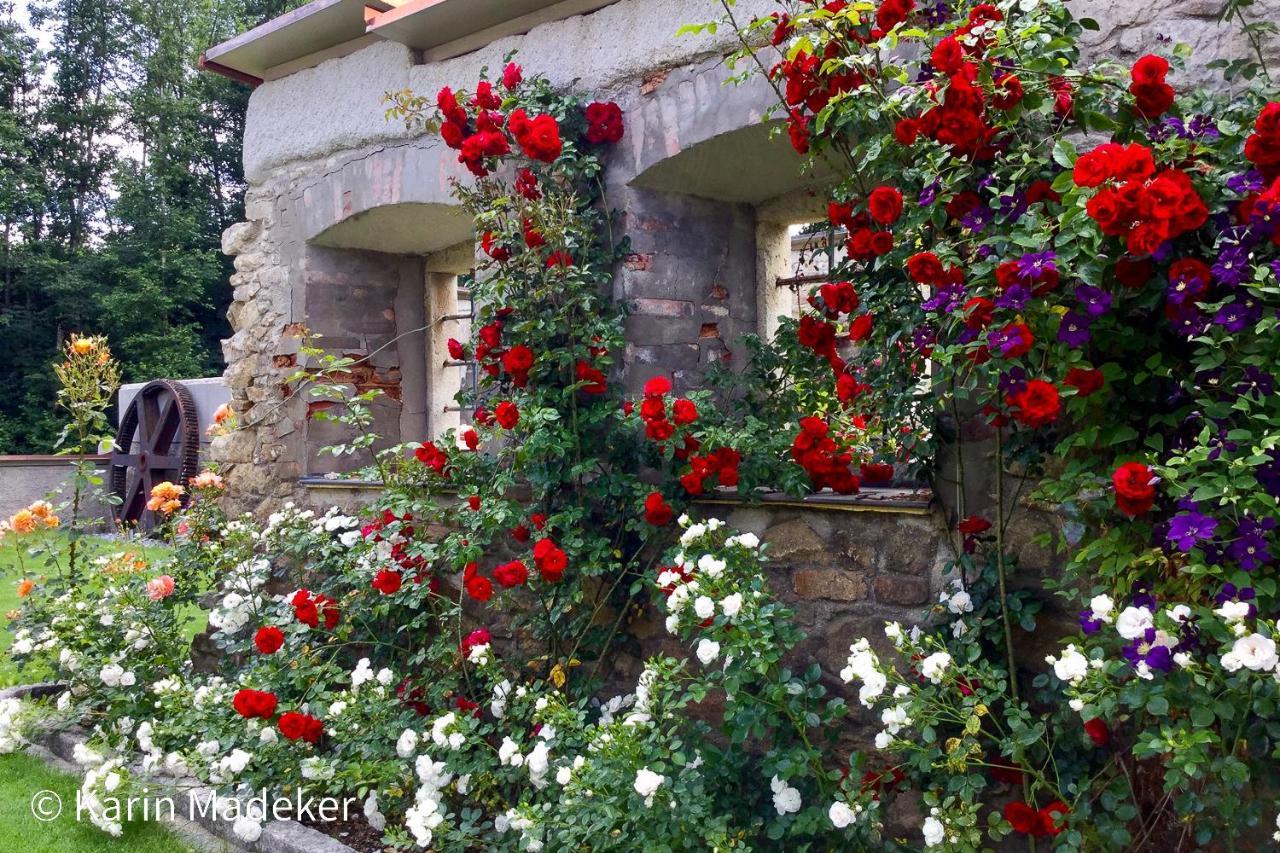 Design Ferienwohnung Mit Bauerngarten Waldkirchen Zewnętrze zdjęcie