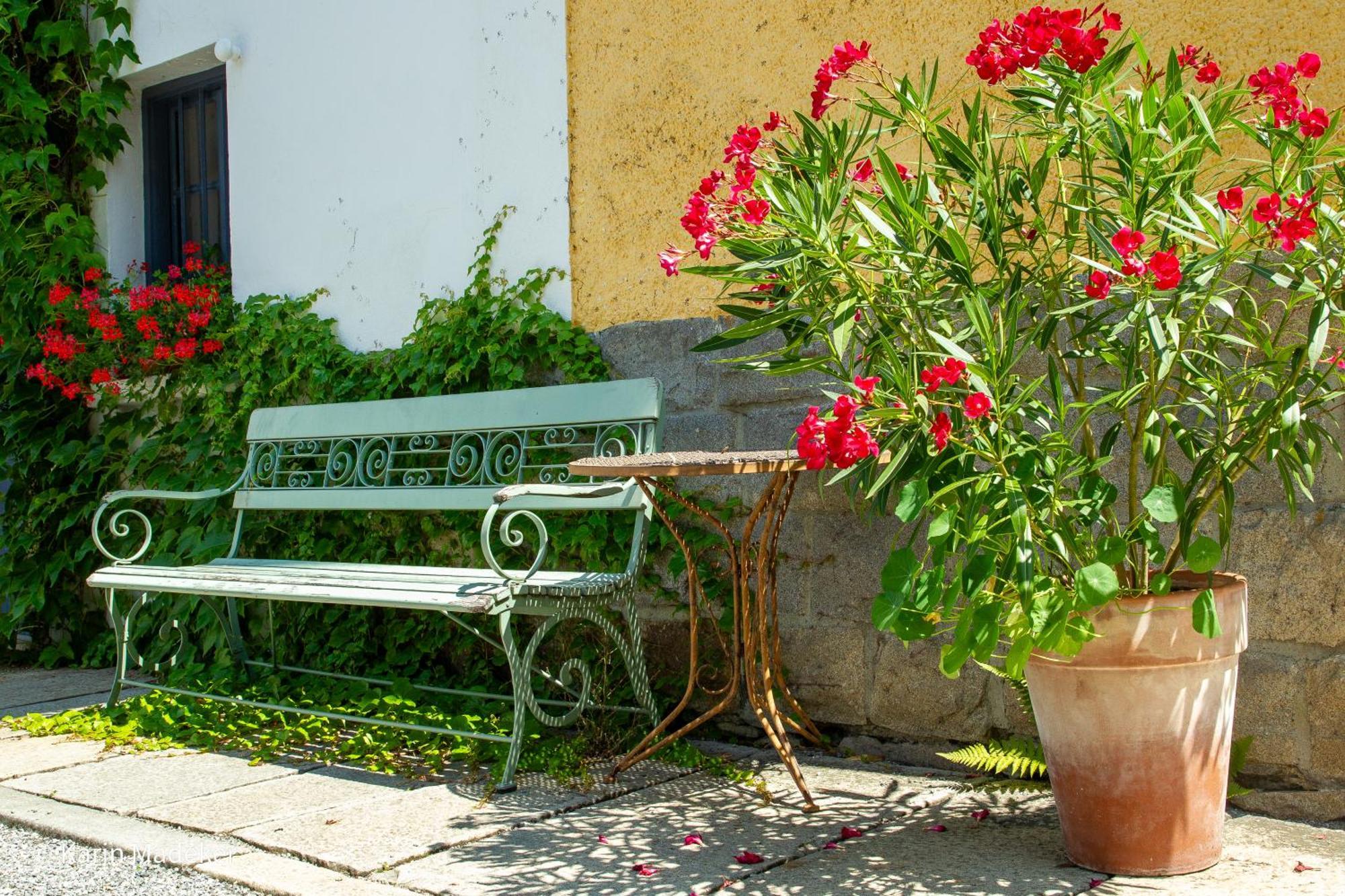 Design Ferienwohnung Mit Bauerngarten Waldkirchen Zewnętrze zdjęcie