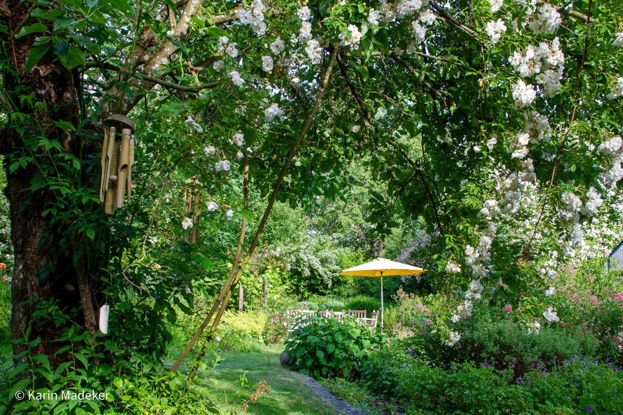 Design Ferienwohnung Mit Bauerngarten Waldkirchen Zewnętrze zdjęcie