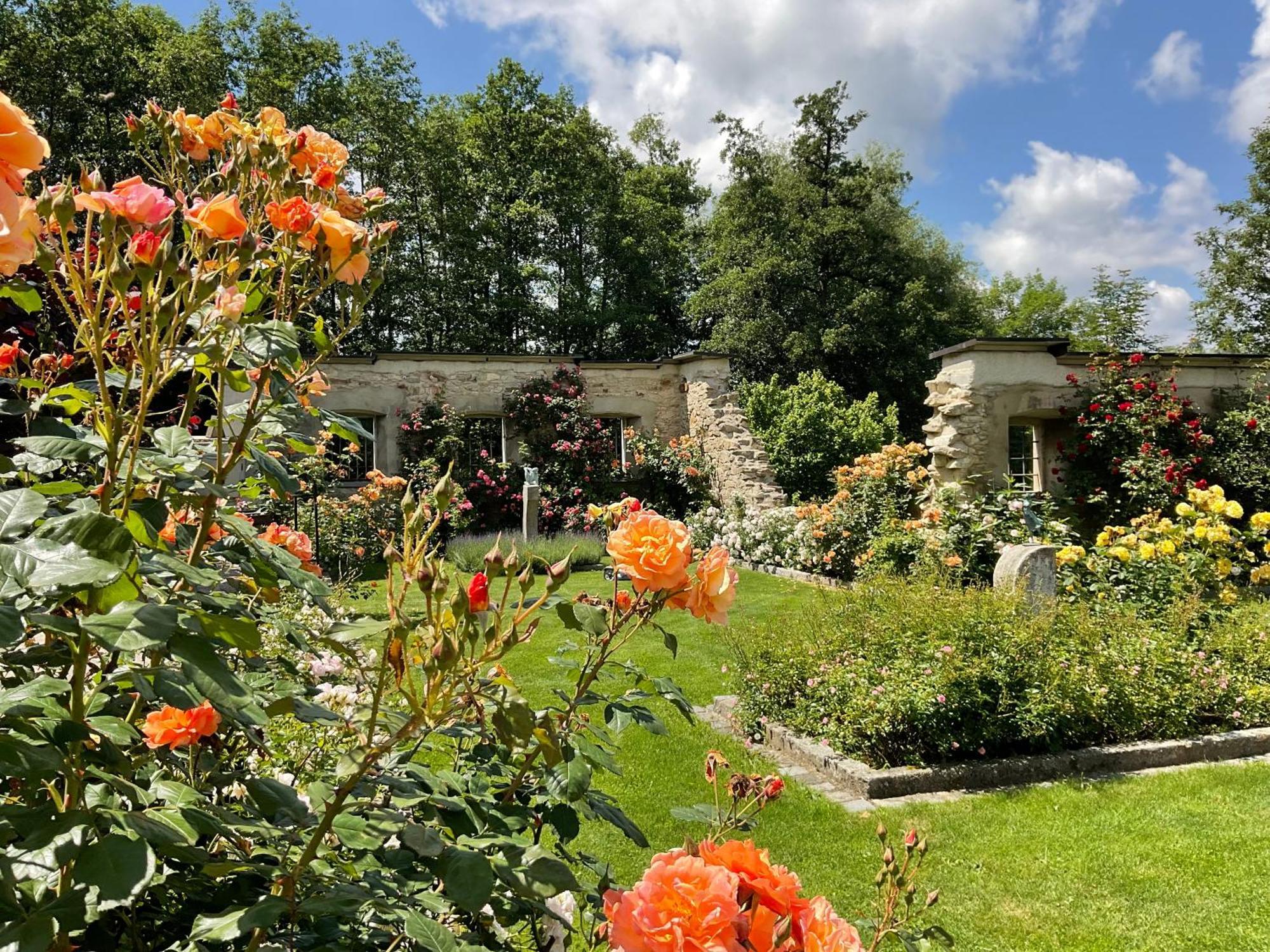 Design Ferienwohnung Mit Bauerngarten Waldkirchen Zewnętrze zdjęcie