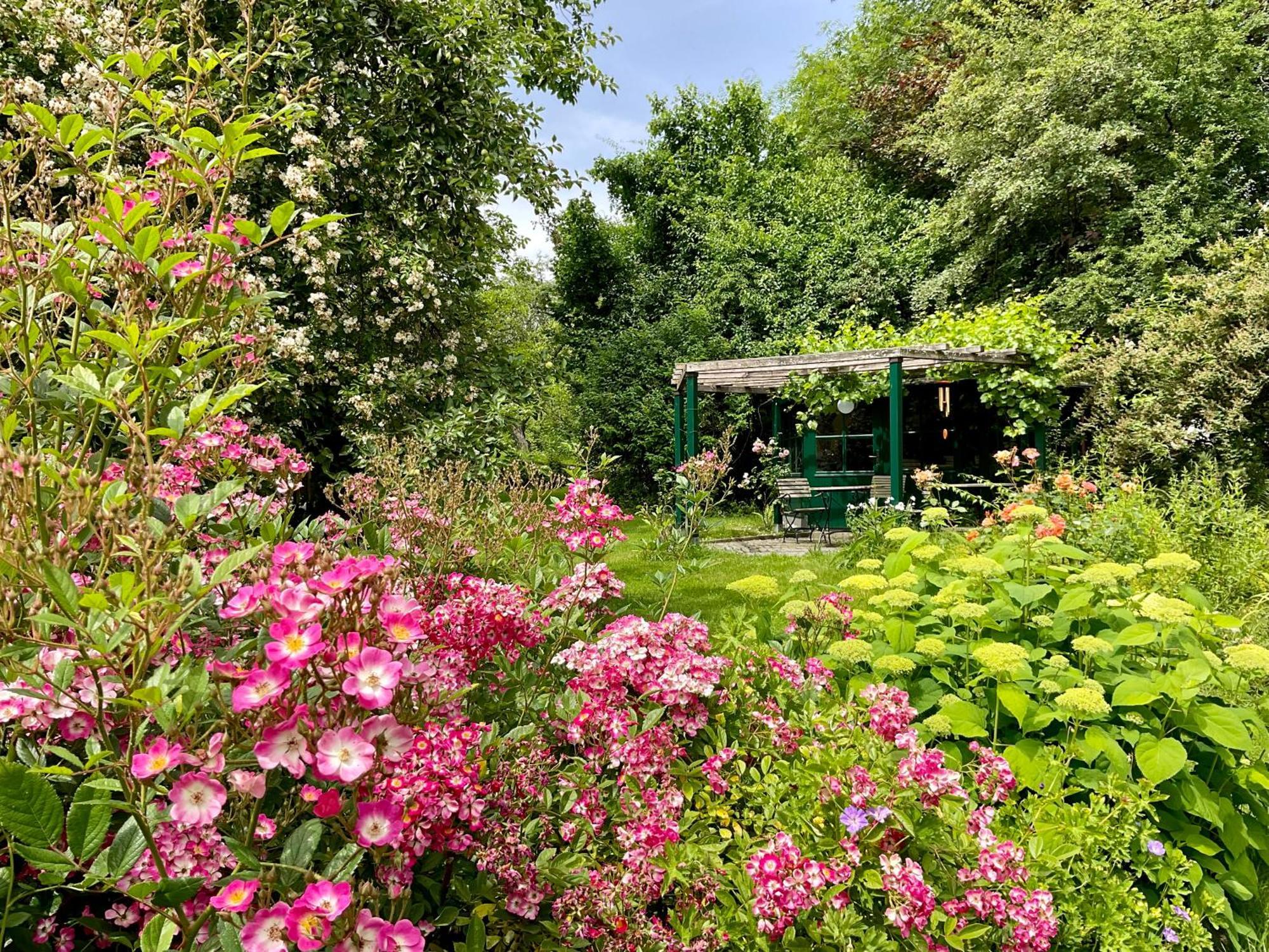 Design Ferienwohnung Mit Bauerngarten Waldkirchen Zewnętrze zdjęcie